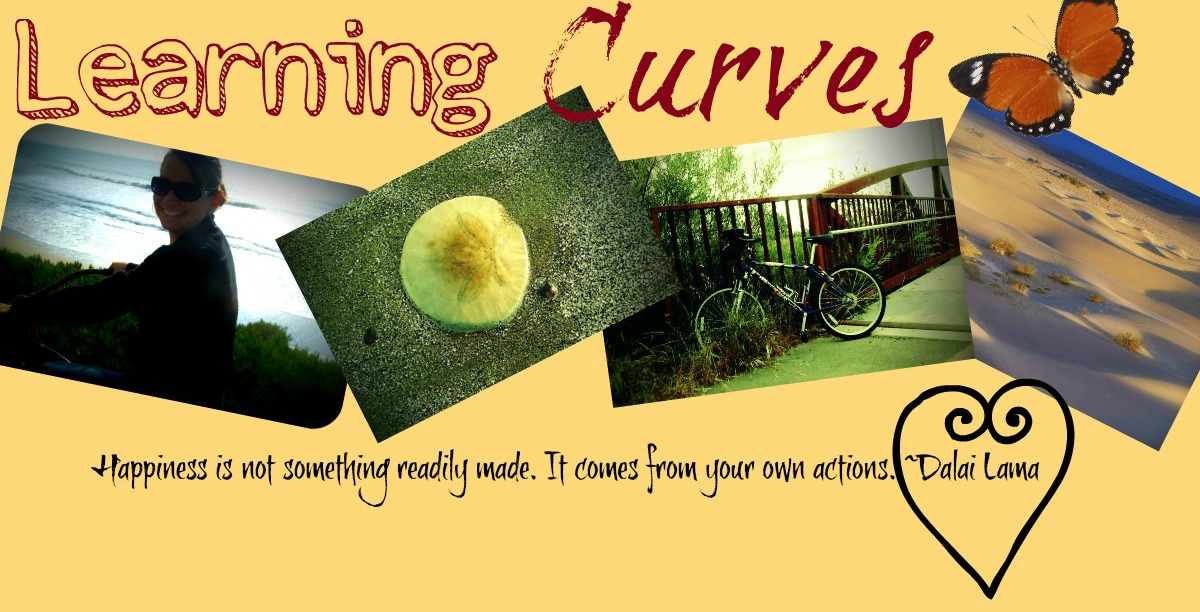  Learning Curves