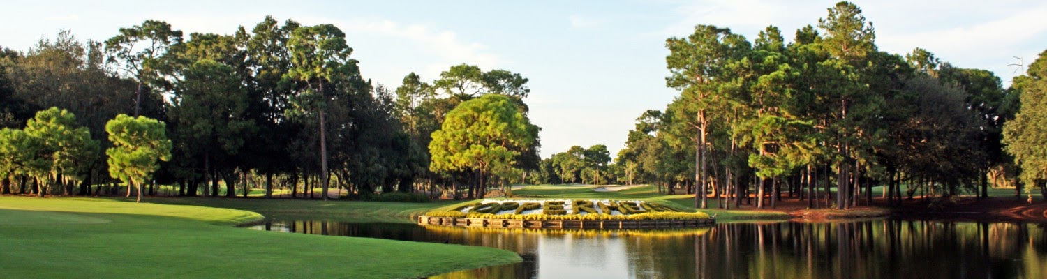 Palm Harbor Golf Courses