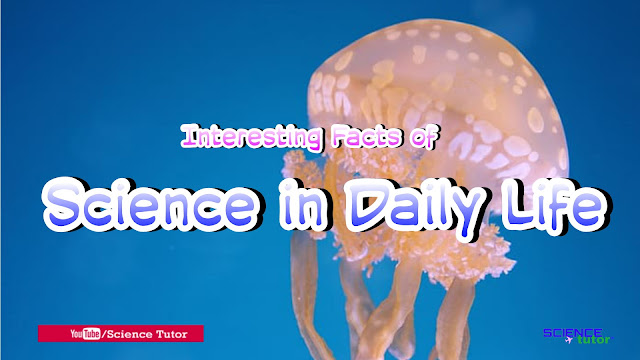 Interesting and Amazing Facts of Human Body, Mushrooms, Animals and Science in Daily Life