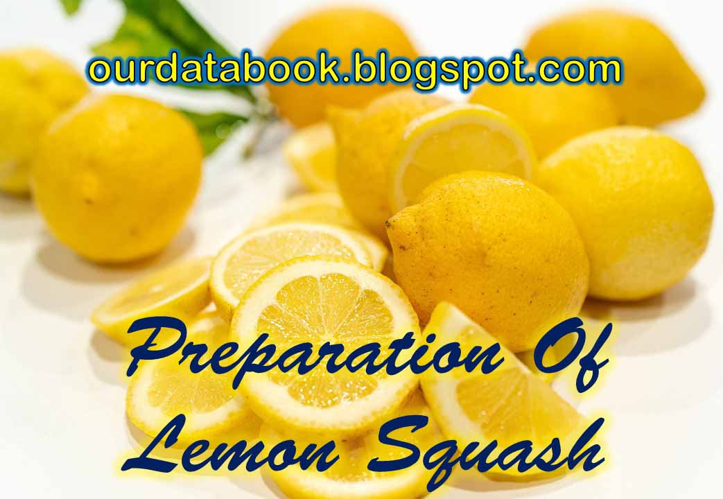 Process of Preparing Lemon Squash