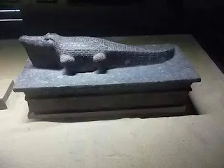 The Crocodile Museum