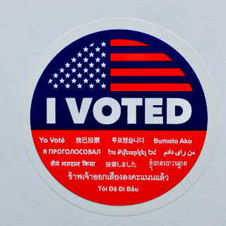I Voted: photo by Cliff Hutson