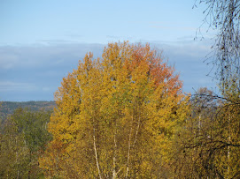 Höstfärger, oktober 2012