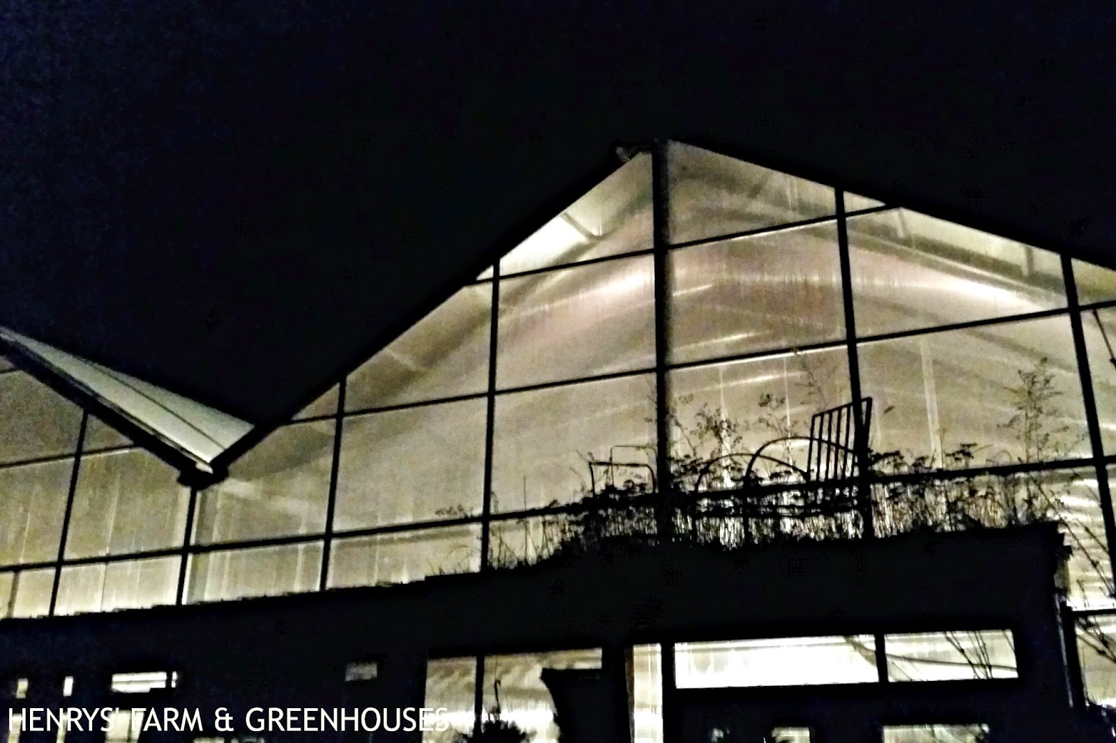 Henrys' Farm and Greenhouses Starlight Shopping