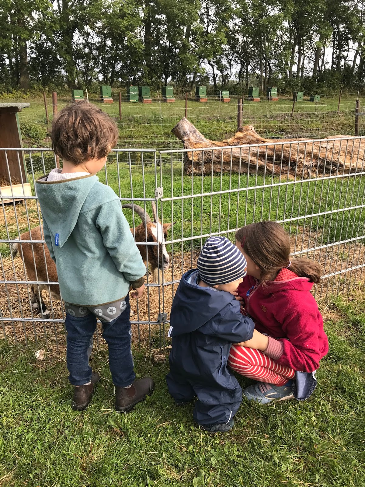 The Villas Fehmarn Der Reise Und Hotelblog Fur Millennials