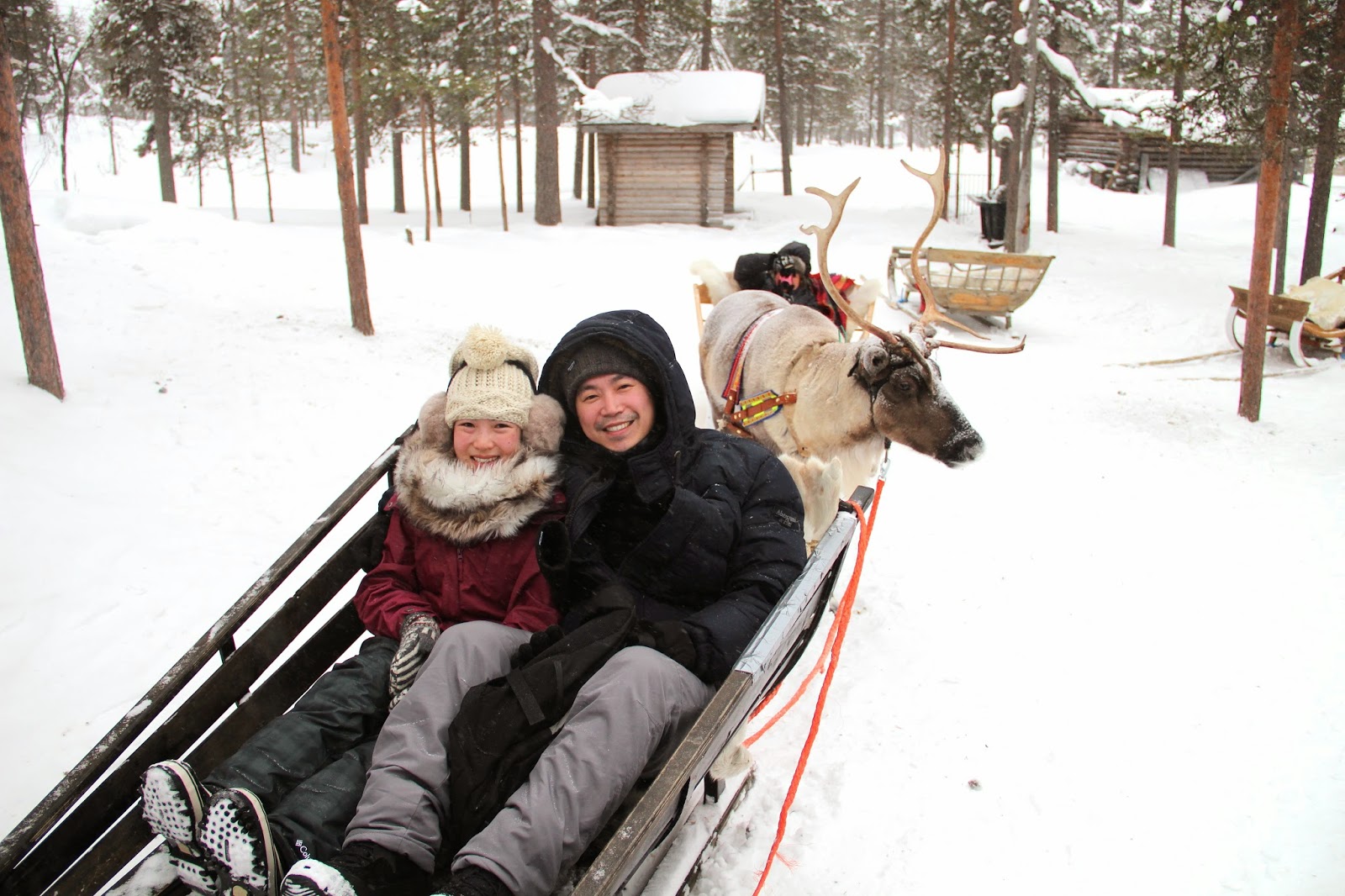 Jamie: Reindeer Sleigh Ride in the Woods