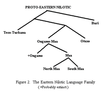 Origin of Maasai Language (Maa)