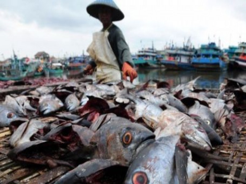 Limbah Perikanan, Tambang Emas Industri Berbasis Ekonomi Sirkular