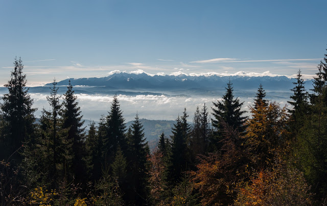 Tatry z Turbacza