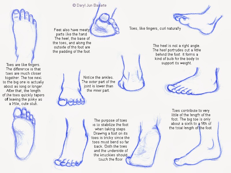 Foot feet нарисованные. Toes рисунок. How to draw Toes. Feet drawing Tutorial.
