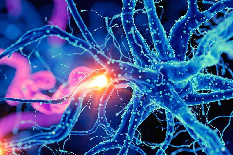 4th Annual Summit on Neurology and Psychiatry Why don't brain cells