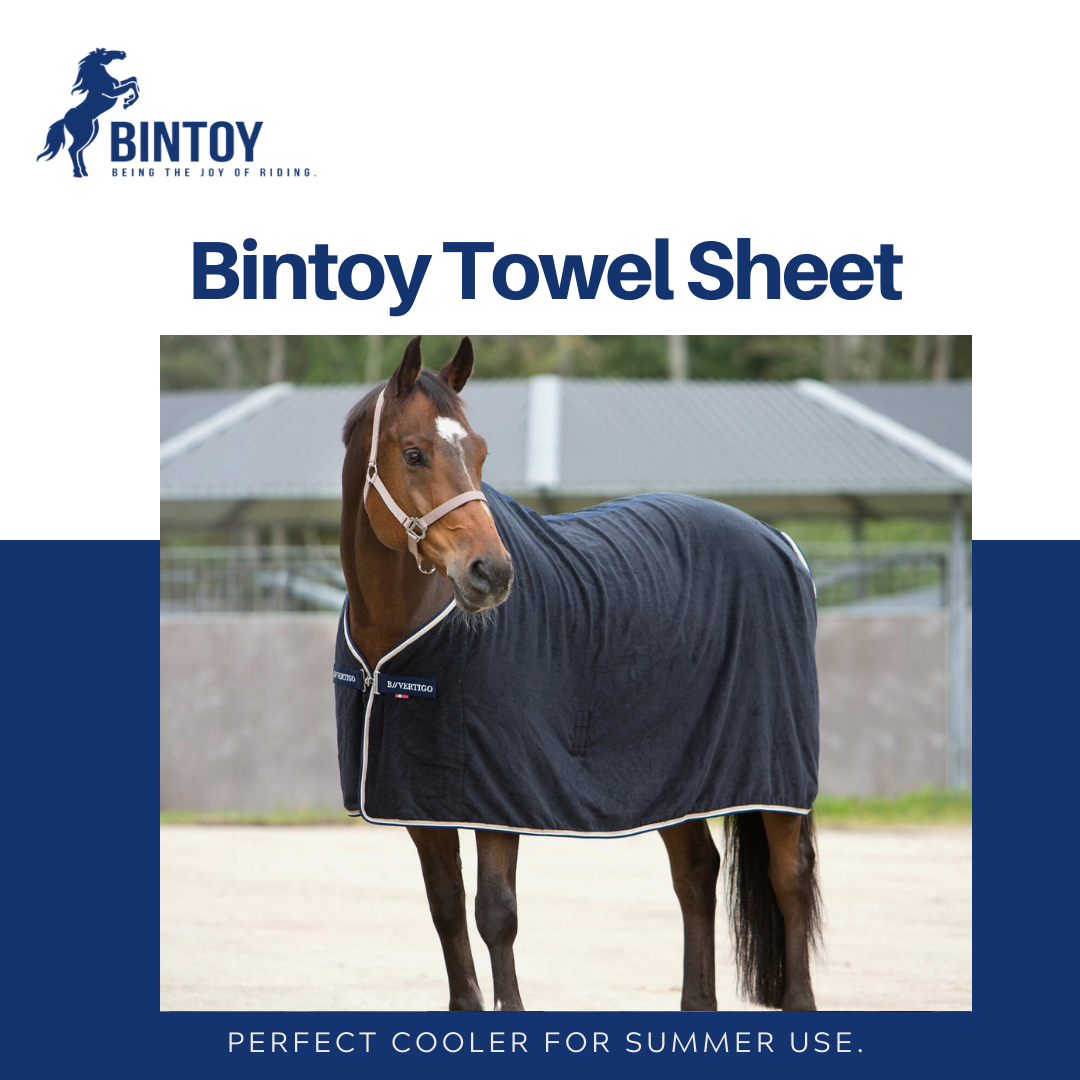 Best Horse Accessories Horse Blanket Sheets
