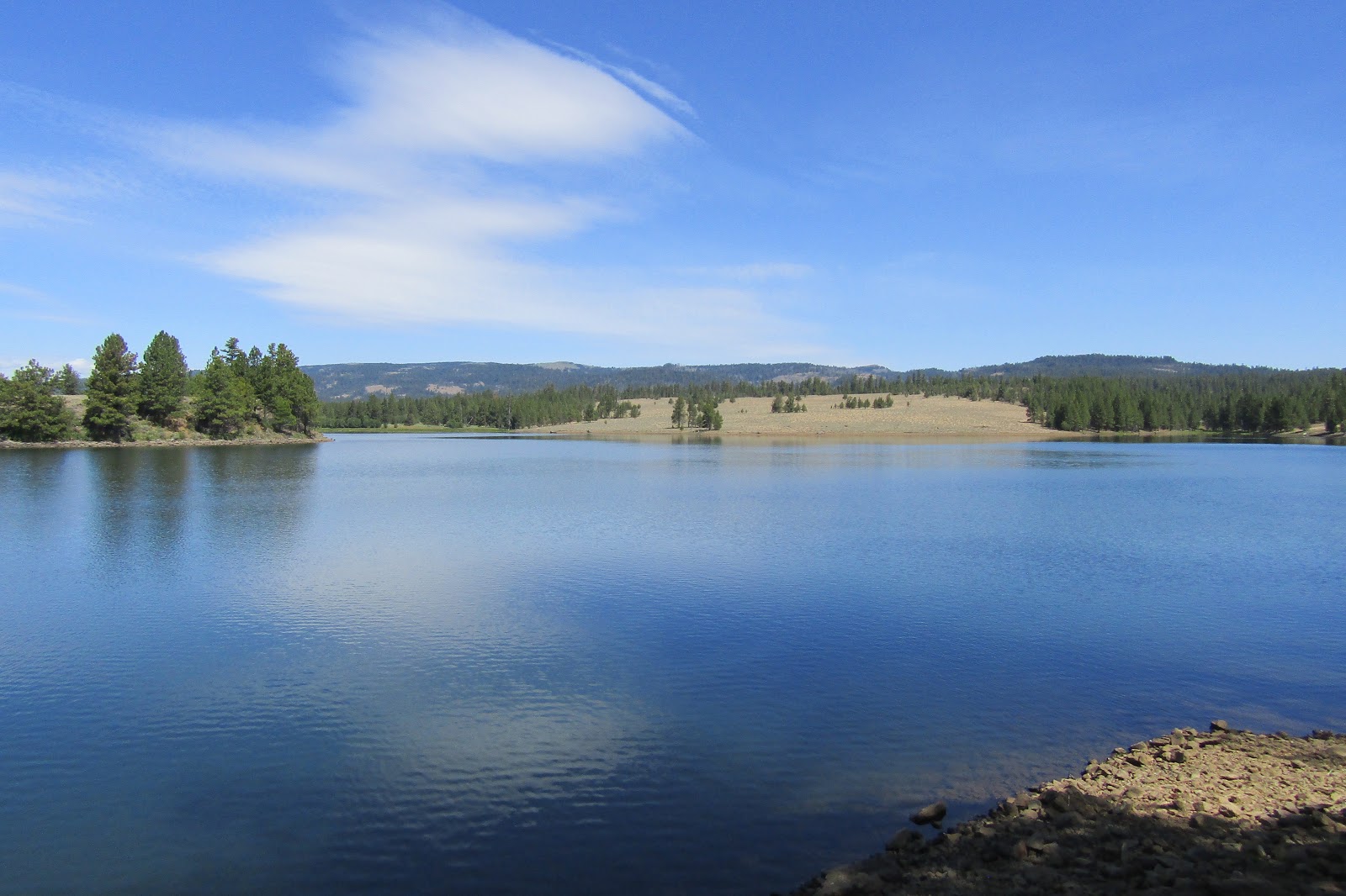 Holly's Horse Tales and Trails Indian Prairie and Allen Creek Horse