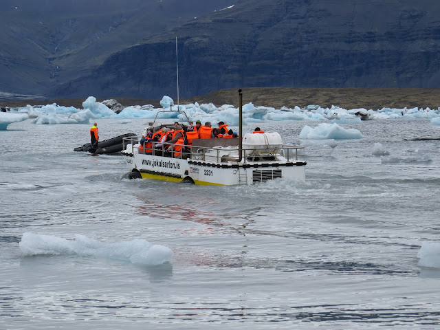 Islandia Agosto 2014 (15 días recorriendo la Isla) - Blogs de Islandia - Día 6 (Jökulsárlón - De Camino A Los Fiordos De Este) (4)