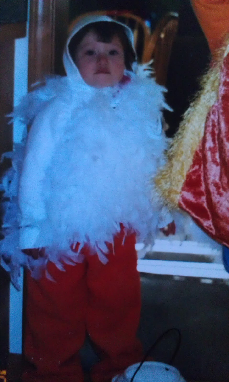 The Real Housewife of Chesterfield Township Costumes of Halloween Past