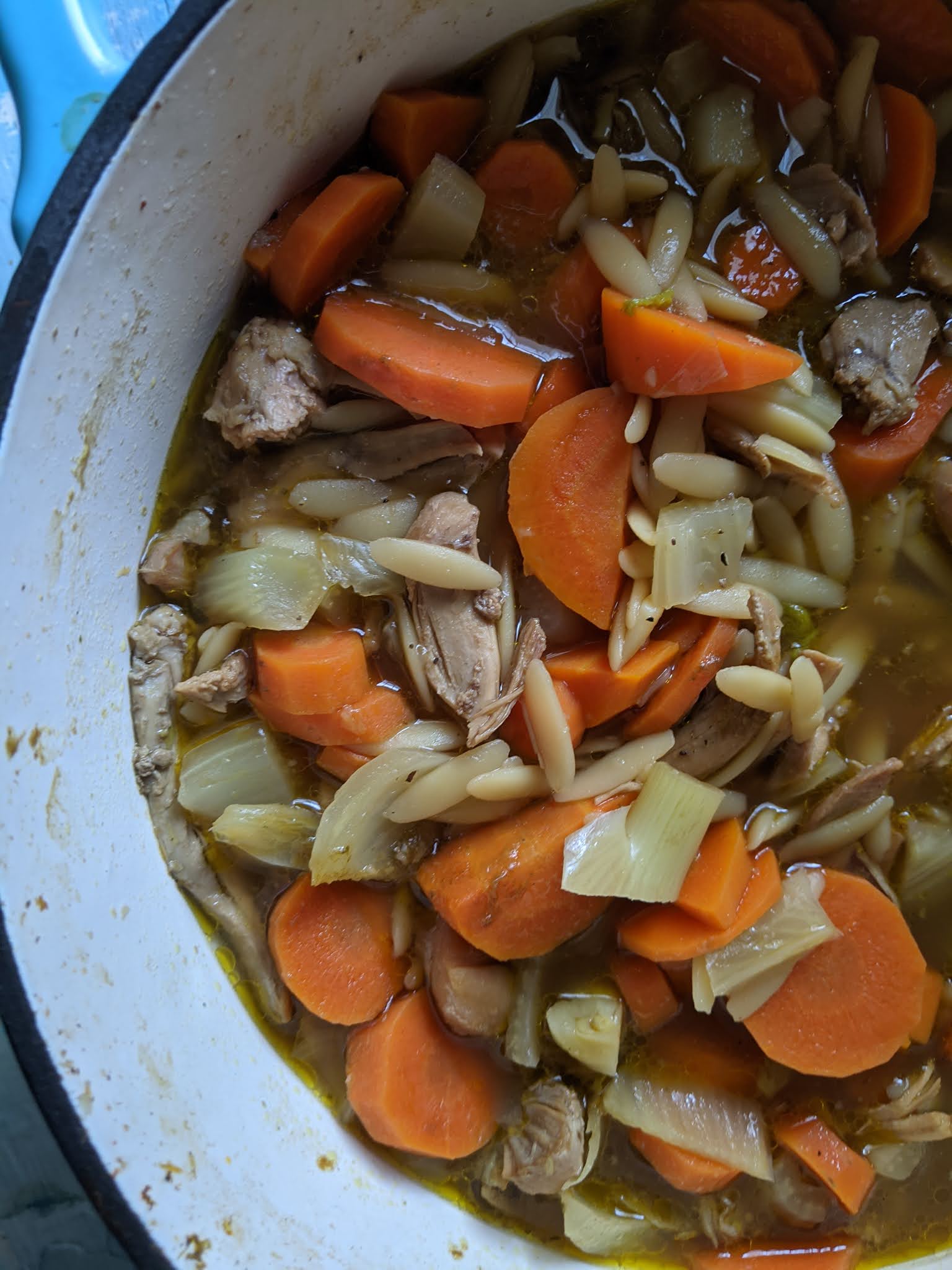 Chicken and Orzo Soup with Fennel