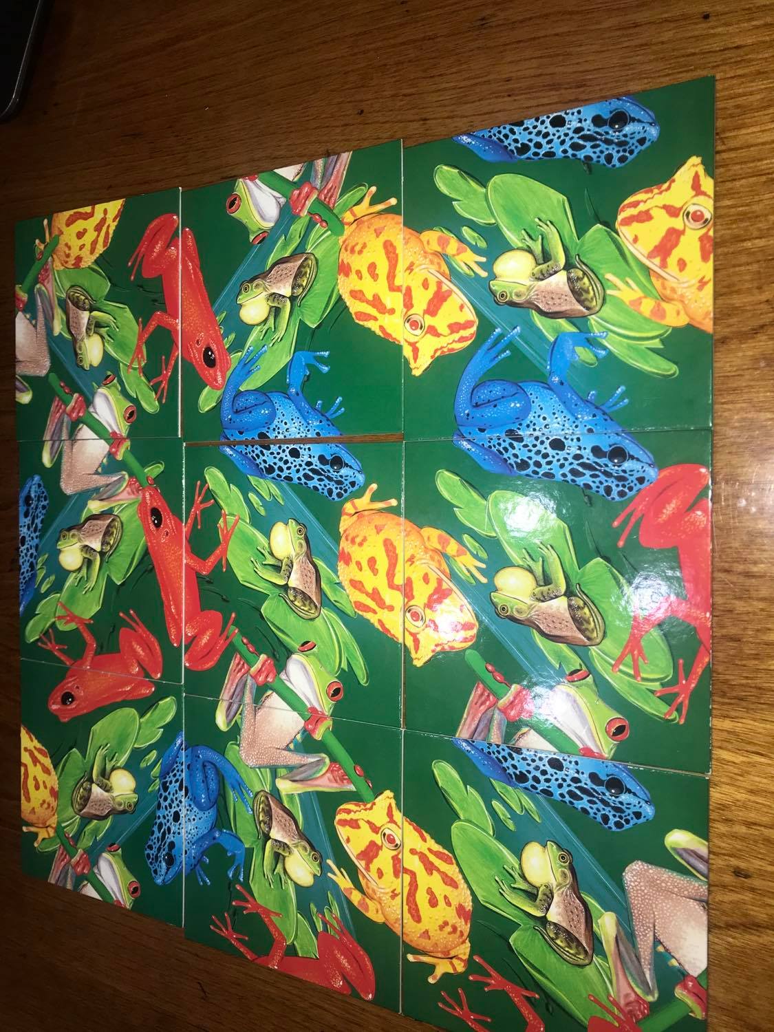The "Secret" is Gratitude "Scramble Square" Frogs and Birds Puzzles