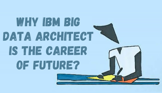 data architect, ibm big data architect certification, data architect training, ibm data architect, ibm certified data architect - big data, data architect ibm, C2090-102