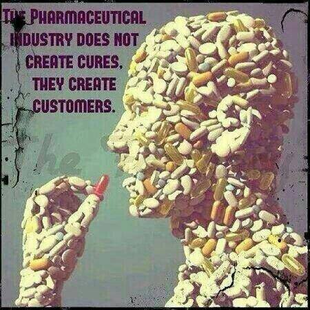 THE PHARMACEUTICAL INDUSTRY