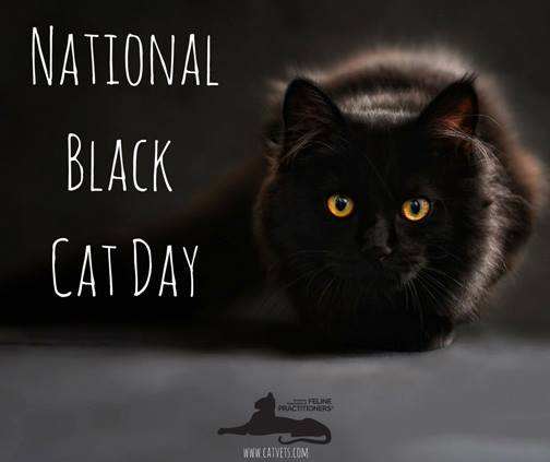 National Black Cat Appreciation Day