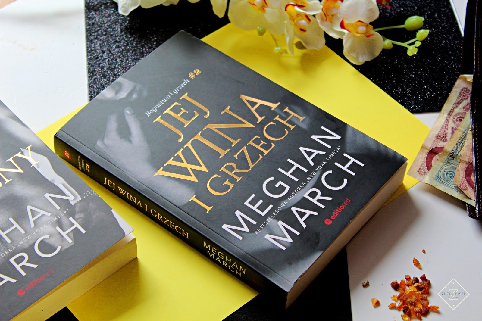 Meghan March "Jej wina i grzech" - recenzja książki 