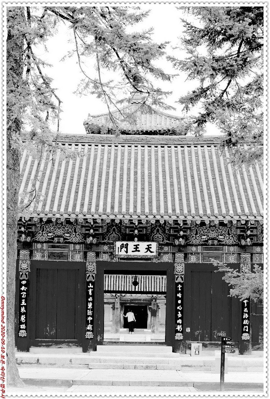 속리산 법주사 속리산 법주사