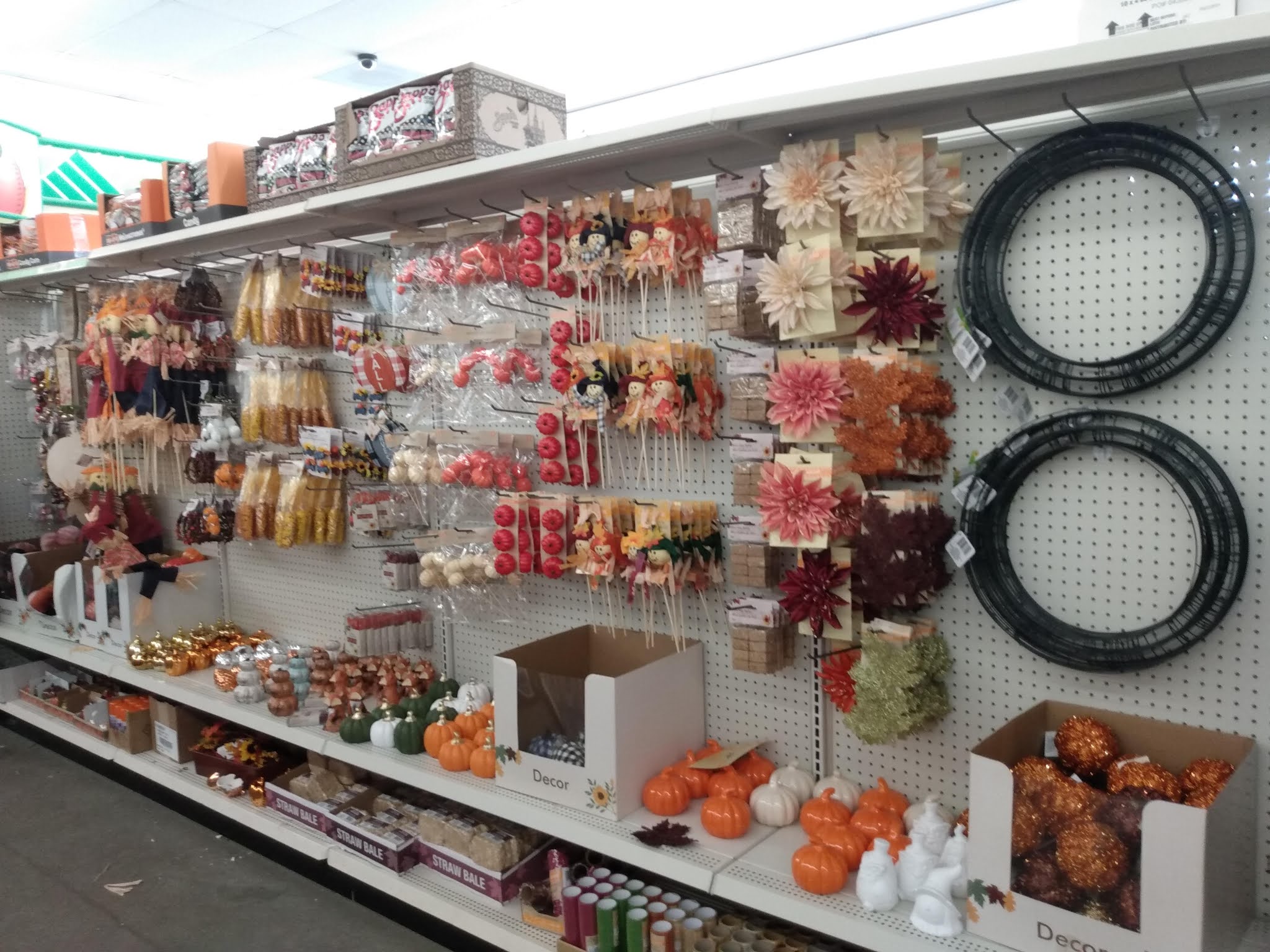 Pams Party & Practical Tips New Dollar Tree Fall Items are here!