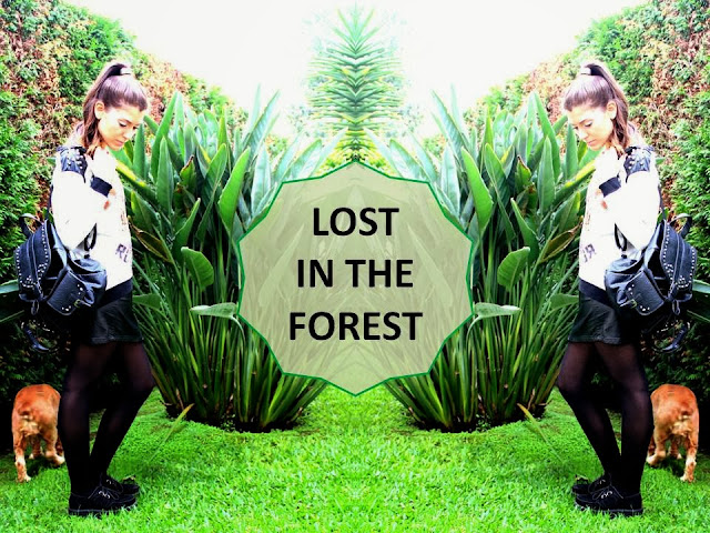 Only One Direction OOTD 3 OUT Lost In The Forest