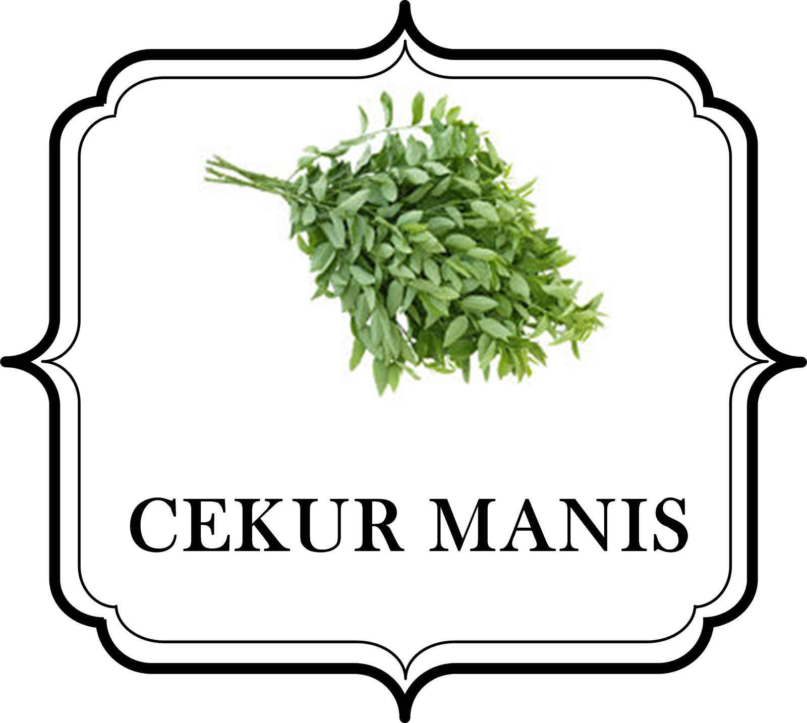 Peppermint Ginger Plus Shaklee Healthy Life, Happy Life