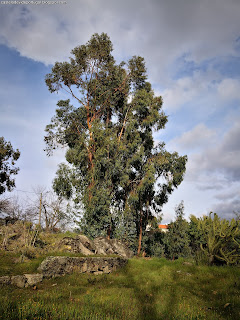 DAM / (Albufeira) Barragem de Póvoa e Meadas, Castelo de Vide, Portugal