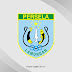 Download Logo Persela Lamongan Vector