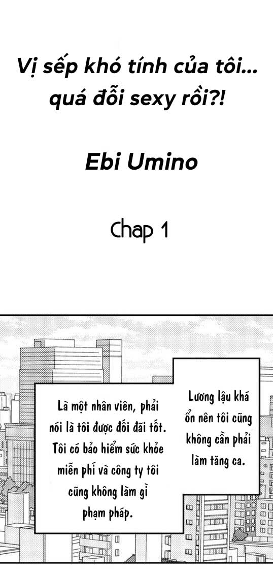 Đọc truyện Vị sếp khó tính của tôi....quá đỗi sexy rồi?! - Chapter 1