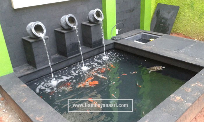 Kolam Ikan Koi Dinding Kaca Infoakuakultur Com