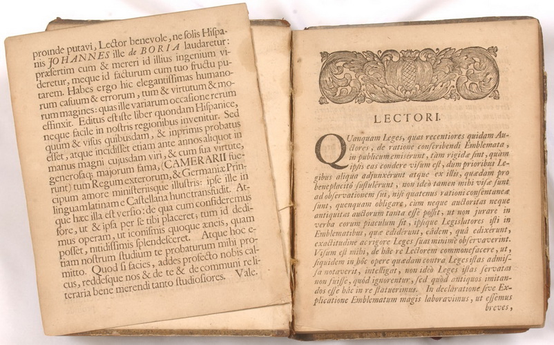 Понятие классицизма в литературе. Литература текст. Реализм происхождение. Литература перевод с латинского. Латинский язык книга.