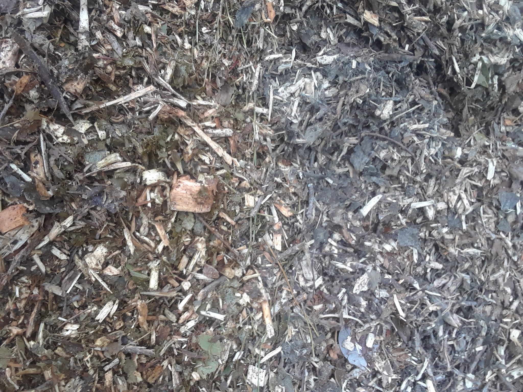 How To Compost Wood Chips