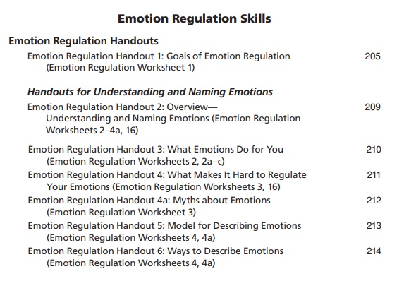 Emotional Empowerment : Emotion Regulation