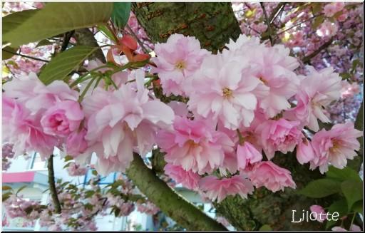 Gedankenreise Grusse Die Mich Erreichten