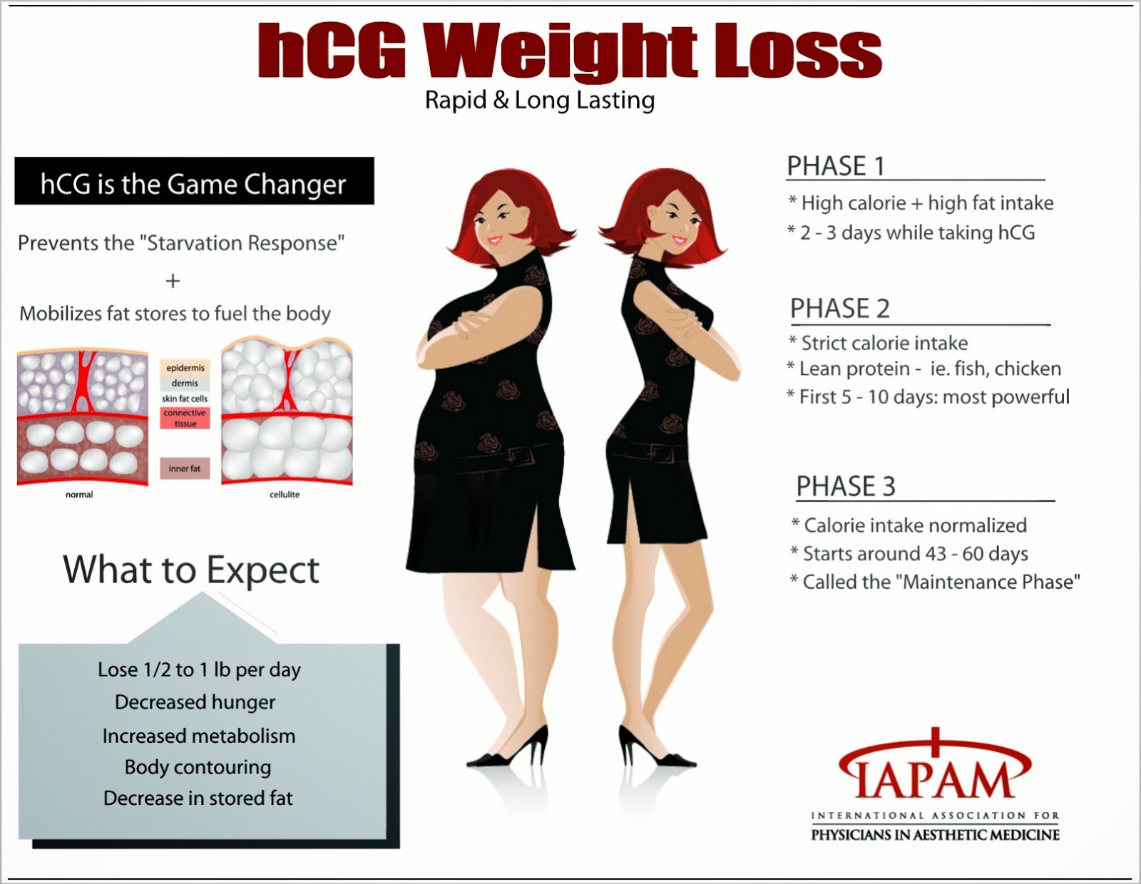 Hcg Weight Loss Chart