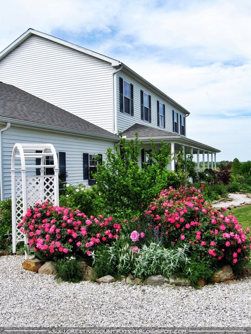 Suddenly Southern : The Farmhouse Garden