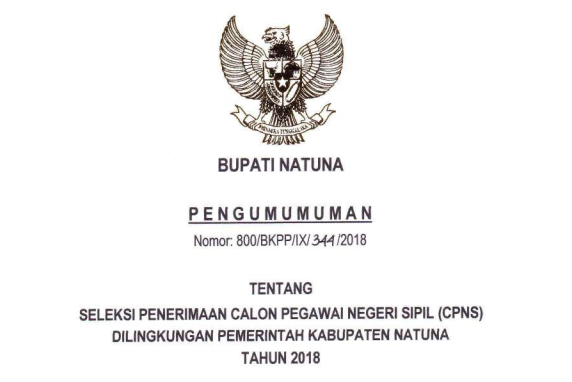 Pengumuman Formasi Persyaratan Dan Tata Cara Registrasi Cpns Kabupaten Natuna Tahun 201 Idn Paperplane