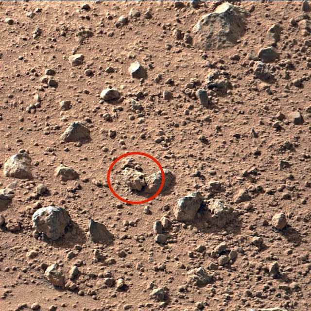 %name Teórico de los alienigenas dice haber encontrado un cráneo alienígena en Marte