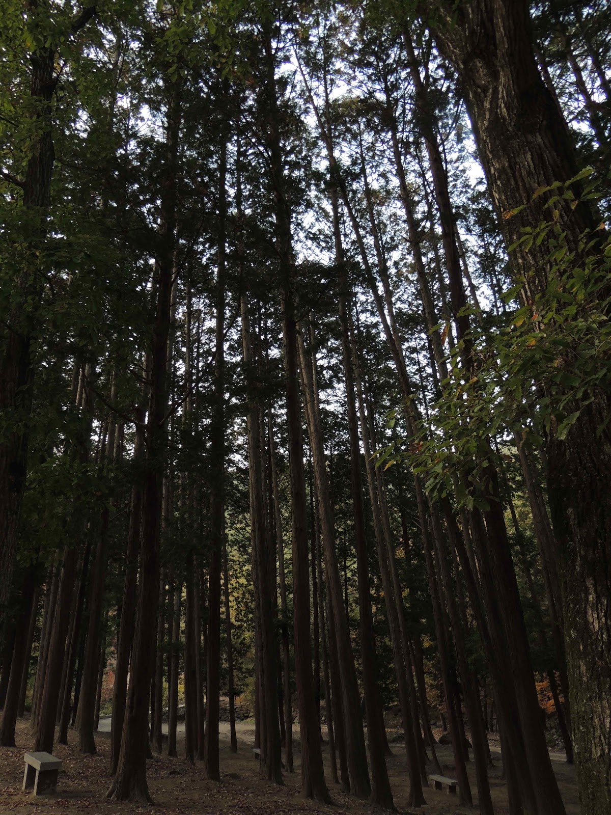 순천 조계산 송광사
