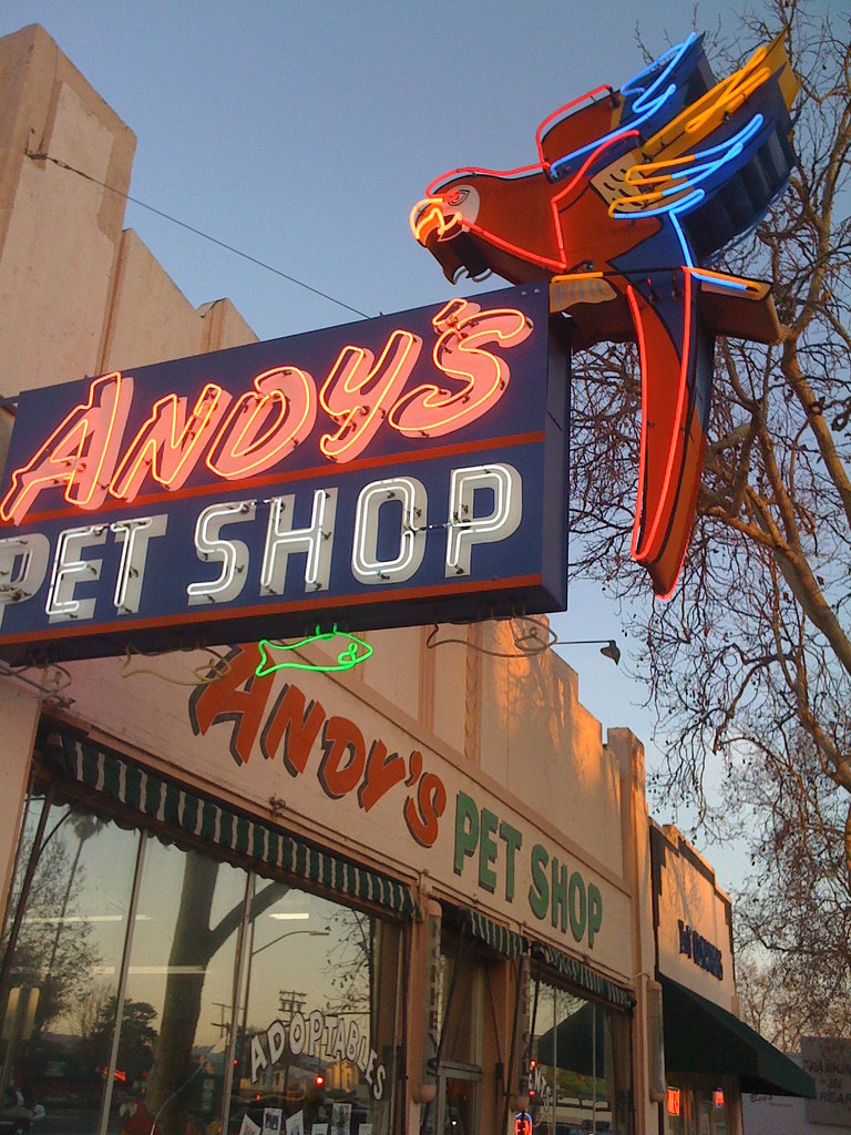 Forestdweller Andy's Pet Shop