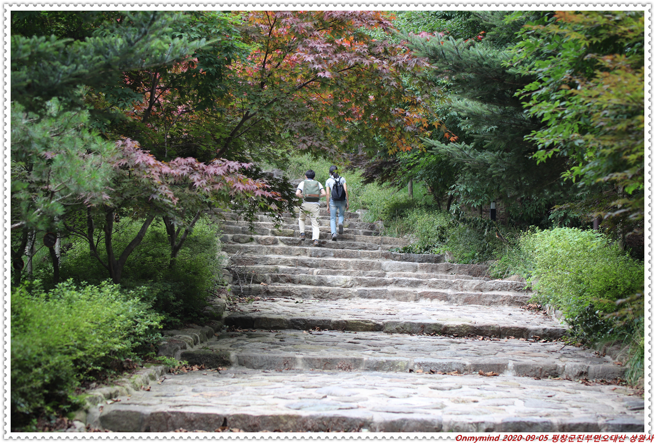 오대산 상원사 오대산 상원사