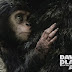 DAWN OF THE PLANET OF THE APES ONLINE (2014)