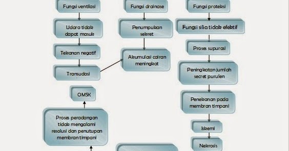 Laporan Pendahuluan Lp Otitis Media Supuratif Kronik Omsk