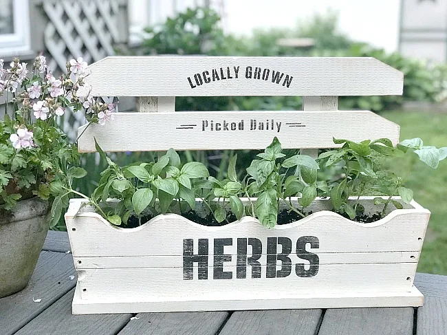 DIY Wooden Herb Garden Box filled with Basil