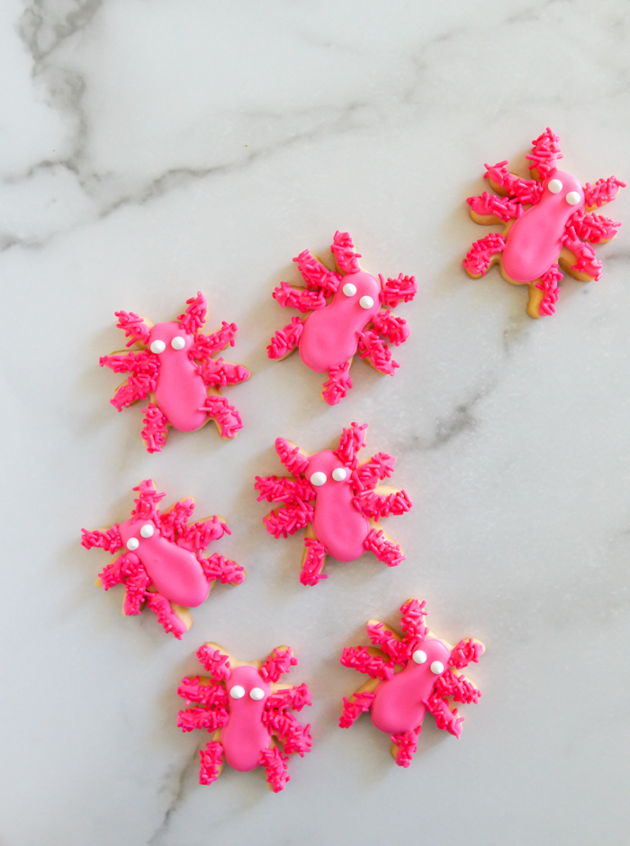 pink spider cute decorated halloween cookies