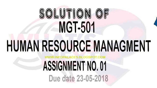 MGT 501 Assignment Solution Spring 2018