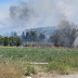 Αλίαρτος: Φωτιά σε εξέλιξη στην περιοχή του ΚΤΕΟ Αλιάρτου (Φωτογραφίες-Βίντεο)